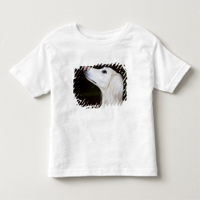 Camiseta Infantil Saluki que olha acima (Frente)