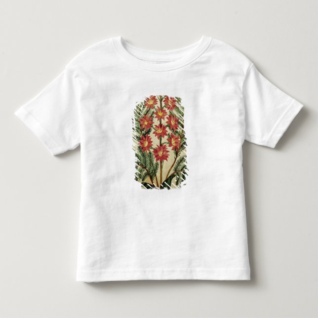Camiseta Infantil Samambaia com as flores vermelhas e amarelas (Frente)