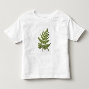 Camiseta Infantil Samambaia de broquel Espinhoso-dentada larga,