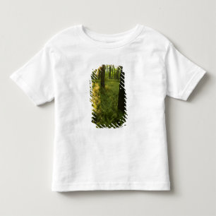 Camiseta Infantil Samambaiaias na floresta em Grafton, Massachusetts