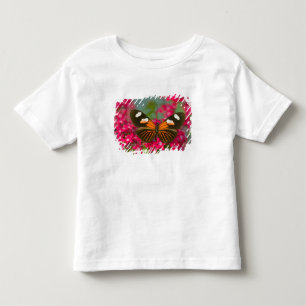 Camiseta Infantil Sammamish Washington Fotografia de Borboleta em 14