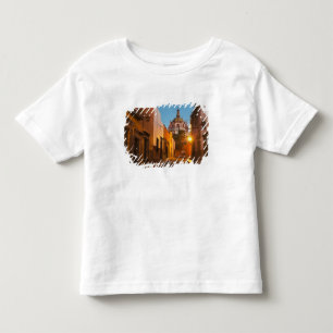 Camiseta Infantil San Miguel de Allende, México. Crédito como:Nanc