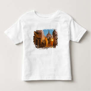 Camiseta Infantil San Miguel de Allende, México. Crédito como:Nancy