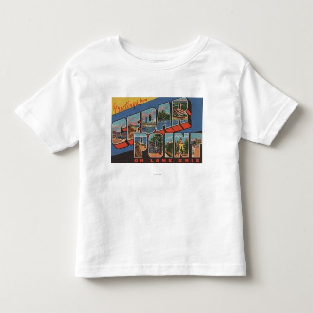 Camiseta Infantil Sandusky, Ohio - Lago Erie - ponto do cedro (Frente)