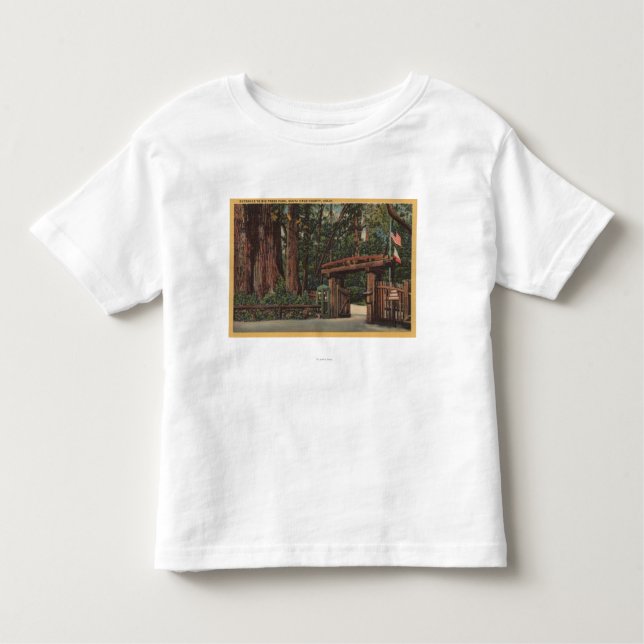 Camiseta Infantil Santa Cruz County, entrada de CA ao parque grande (Frente)