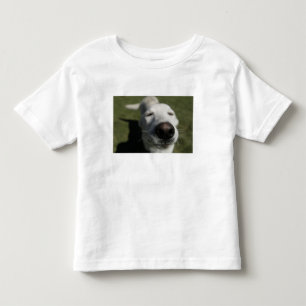 Camiseta Infantil Santa Fé, Novo México