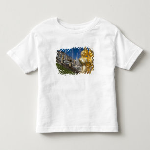 Camiseta Infantil São Petersburgo, fontes da Grand Cascade