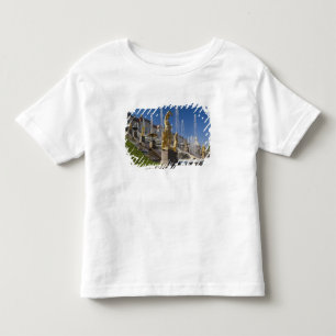 Camiseta Infantil São Petersburgo, fontes da Grand Cascade