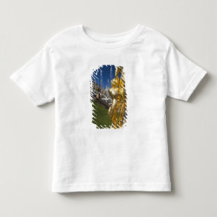 Camiseta Infantil São Petersburgo, fontes da Grande Cascata