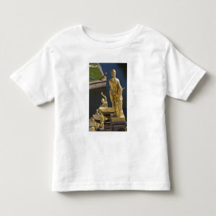 Camiseta Infantil São Petersburgo, fontes da Grande Cascata