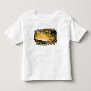 Camiseta Infantil Sapo Chifrudinho Brasileiro, Ceratophrys cornuta, 
