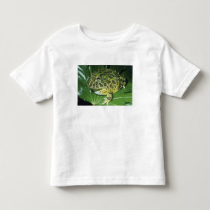 Camiseta Infantil Sapo Cornudo Ornamentado, (Ceratophrys ornata),