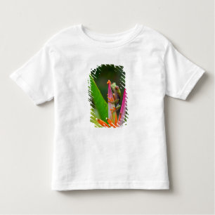 Camiseta Infantil Sapo de árvore de olhos vermelhos, Costa Rica