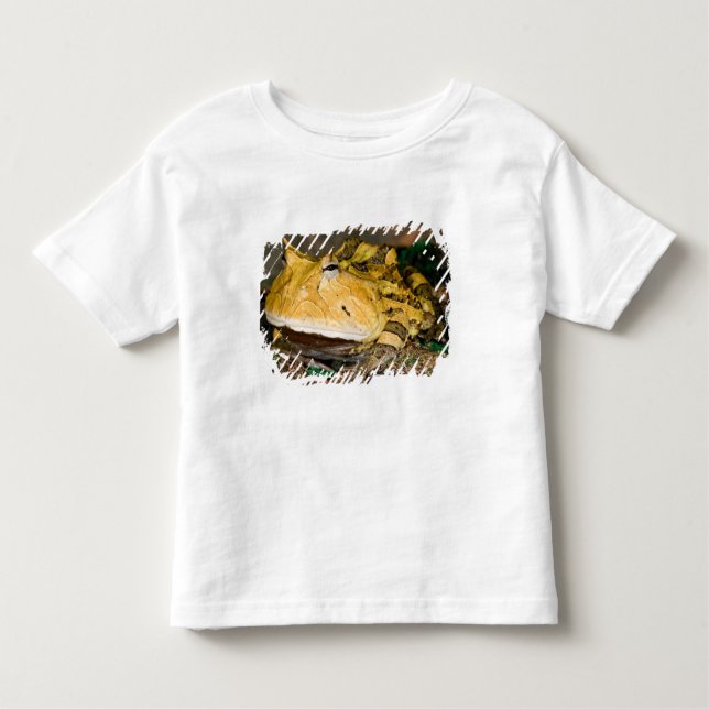 Camiseta Infantil Sapo do Corno brasileiro, Ceratophrys cornuta, 3 (Frente)