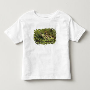 Camiseta Infantil Sapo do Leopardo Rio Grande, Rana berlandieri,