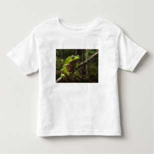 Camiseta Infantil Sapo gigante Phyllomedusa bicolor)