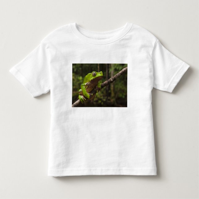 Camiseta Infantil Sapo gigante Phyllomedusa bicolor) (Frente)