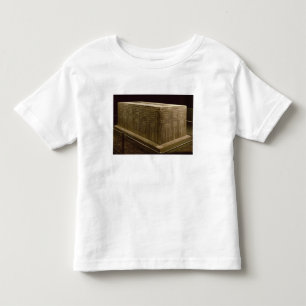 Camiseta Infantil Sarcófago da barata de Abu (pedra calcária) (vej