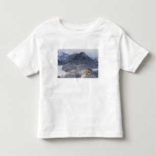 Camiseta Infantil Schloss Hohenschwangau