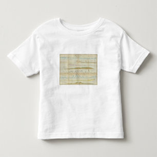 Camiseta Infantil Seções verticais de Maine