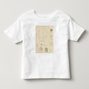 Camiseta Infantil Seismograms 3 de Califórnia