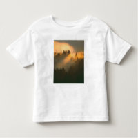 Sequoias vermelhas no nevoeiro costeiro, Condado d