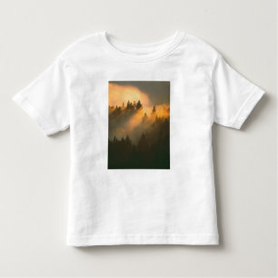 Camiseta Infantil Sequoias vermelhas no nevoeiro costeiro, Condado d