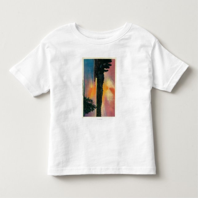 Camiseta Infantil Seta do lago na seta de SunsetLake, CA (Frente)
