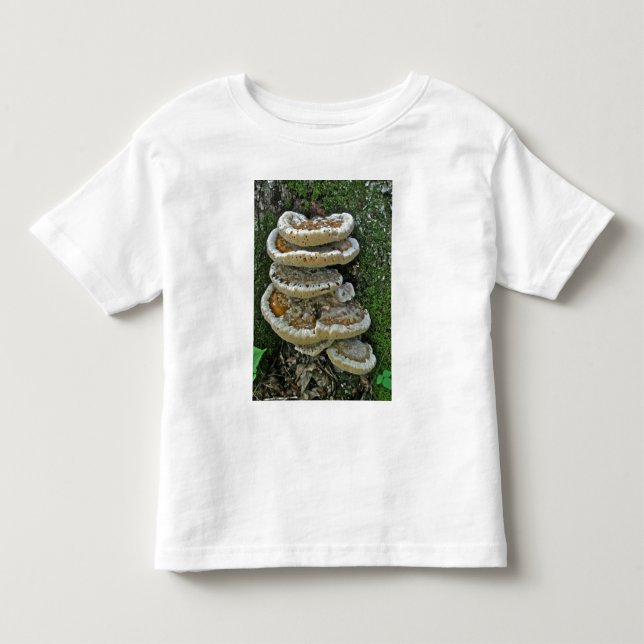 Camiseta Infantil Shelf Fungi em Stump (Frente)