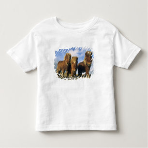 Camiseta Infantil Shetland Pony, ilhas Shetland do continente,