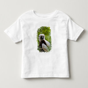 Camiseta Infantil Sifaka de Coquerel na floresta 2