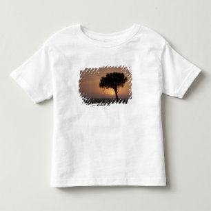 Camiseta Infantil Silhueta de árvore na planície, Masai Mara 2