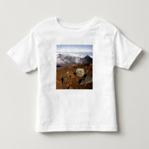Camiseta Infantil Silversword no cume da cratera Haleakala a partir