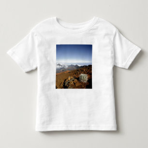 Camiseta Infantil Silversword no cume da cratera Haleakala de perto