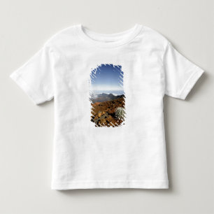 Camiseta Infantil Silversword no cume da cratera Haleakala de perto