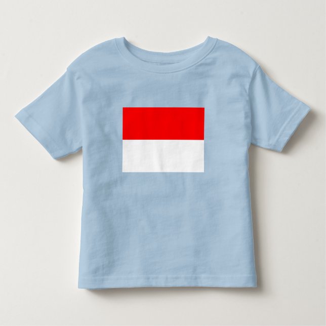 Camiseta Infantil Sinalizador Indonésia (Frente)