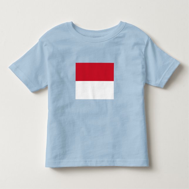 Camiseta Infantil Sinalizador Mônaco (Frente)