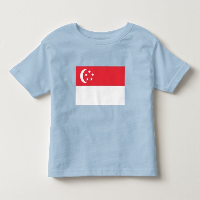 Camiseta Infantil Singapore Flag (Frente)