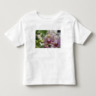 Camiseta Infantil Singapura (Sânscrito para Cidade do Leão). Naciona