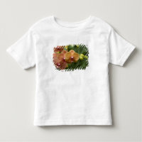 Singapura (Sânscrito para Cidade do Leão). Naciona