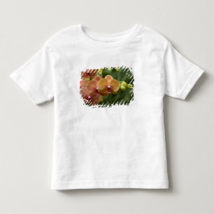 Camiseta Infantil Singapura (Sânscrito para Cidade do Leão). Naciona