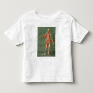 Camiseta Infantil Sistema muscular superficial da parte dianteira da