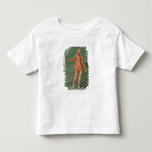 Camiseta Infantil Sistema muscular superficial da parte dianteira da