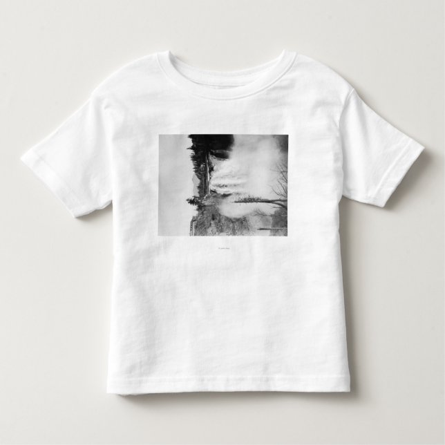 Camiseta Infantil Snoqualmie, WA - quedas e fotografia do alojamento (Frente)