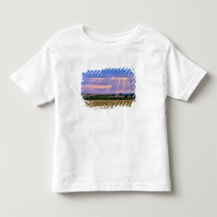 Camiseta Infantil Sol se pondo no Masai Mara.