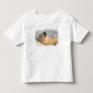 Camiseta Infantil Soneca do Urso Polar