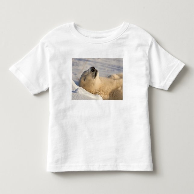 Camiseta Infantil Soneca do Urso Polar (Frente)