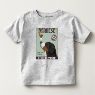 Camiseta Infantil Sorvete Bernês