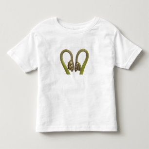 Camiseta Infantil Sprouts 2 da samambaia