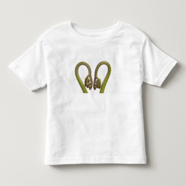 Camiseta Infantil Sprouts 2 da samambaia (Frente)